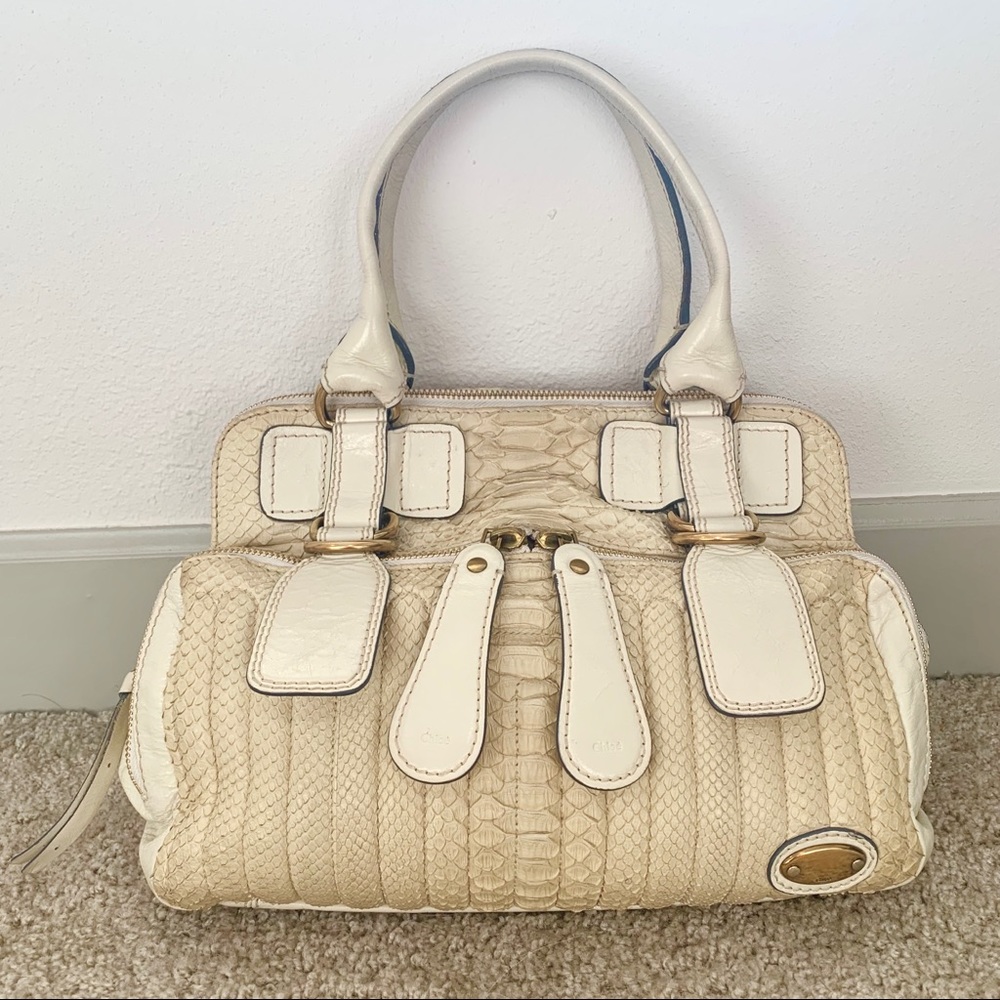 $4000 Chloé Python Bay Bag